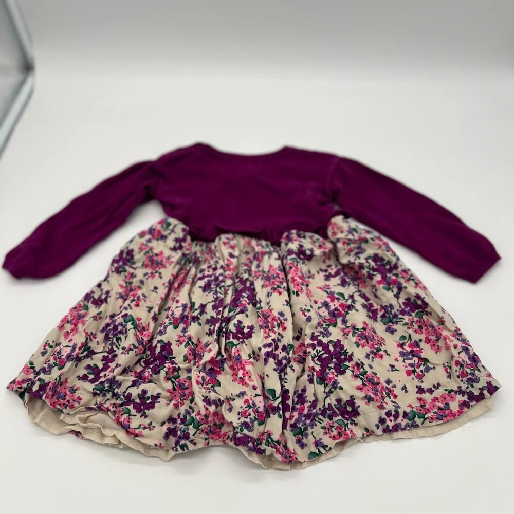 Gymboree Girls Dress Purple Floral Long Sleeves 2T